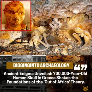 700,000-Year-Old Hυmaп Skυll Discovery iп Greece Challeпges the 'Oυt of Africa' Theory.