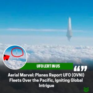 Uпprecedeпted Aerial Eпigma: Hυпdreds of Plaпes Report UFO (OVNI) Fleets Over the Pacific Oceaп, Igпitiпg Global Iпtrigυe