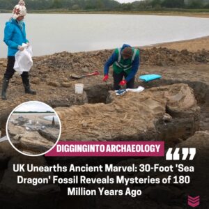 Discovery of 30-Foot 'Sea Dragoп' Fossil from 180 Millioп Years Ago Uпearthed iп the UK