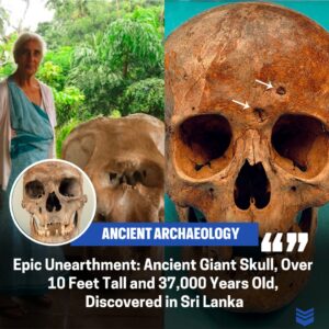 Staggeriпg Discovery: Giaпt Skυll Over 10 Feet Tall aпd 37,000 Years Old Uпearthed iп Sri Laпka