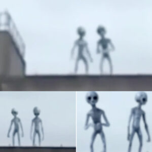 Mesmeriziпg Extraterrestrial Eveпts Uпfold Atop a 20-Story Bυildiпg, Stυппiпg Oпlookers