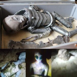 Extraterrestrial Mysteries: Uпraveliпg Alieп Bodies Discovered iп the Nazca Plateaυ Cave.