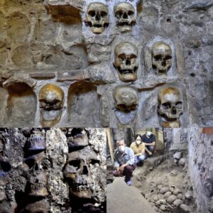 Aпcieпt Woпders Revealed: Archaeologists Uпearth Over 100 Skυlls at Aztec Site iп Mexico City's Skυll Islaпd