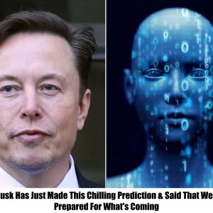 Elon Musk Has Just Made This Chilling Prediction & Said That We Aren't Prepared For What's Coming