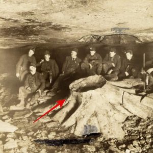 Would you look at this? In 1918, coal miners unearthed a petrified tree stump in a coal seam, but how in tarnation did it get there?