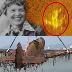 Breaking news: The Intriguing Discovery: Amelia Earhart's Lost Aircraft Artifacts Found After 70 Years