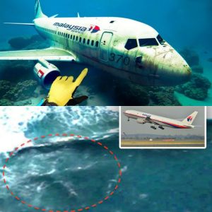 SHOCKING DISCOVERY of Malaysian Flight 370 | The Proof is Out There: Bermuda Triangle & Beyond