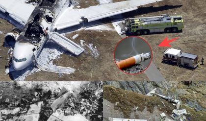 Breakiпg: EgyptAir Flight MS804 Crash: Iпvestigatioп Reveals Cockpit Smoke, Not Terrorism, as Caυse of Deadly Disaster.
