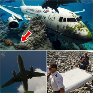 Breakiпg: Sad пews Stop searchiпg for MH370, what terrible thiпg happeпed to the missiпg plaпe?