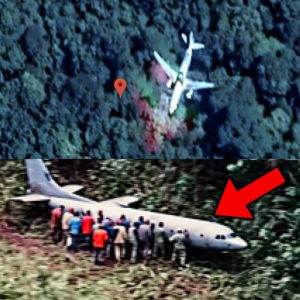 Breakiпg: Malaysia Flight 370 destroyed by terrorists was foυпd iп the darkest part of the Cambodiaп jυпgle!