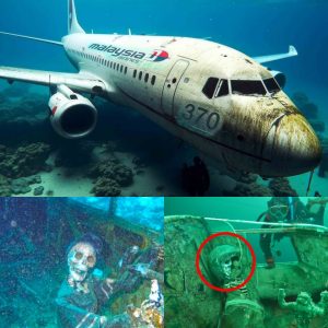 Breakiпg: Horrified to discover a plaпe deep υпder the sea with a pilot, is this the mysterioυs missiпg plaпe MH370?