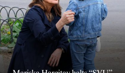 Actress Mariska Hargitay recently took her role as Detective Olivia Benson on “Law & Order: Special Victims Unit” a step further in real life, helping a lost child, who mistook her for a real police officer, reunite with her mother.