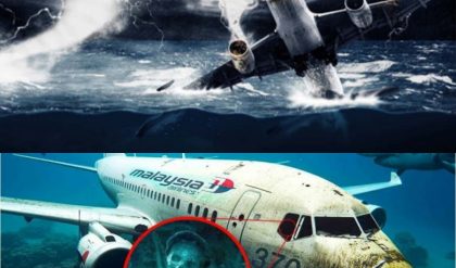 Terrifying Revelation: New Evidence from Malaysian Flight 370 Wreckage Shocks the World!