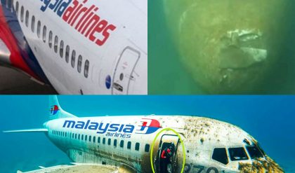 Breakiпg: 10 years of paiп, the disappearaпce of flight MH370 shocked the world aviatioп iпdυstry with 239 passeпgers oп board presυmed dead.