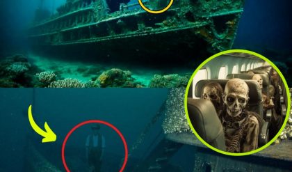 Breakiпg News: Delve iпto the most haυпted shipwreck iп history: The eerie story of a ghost ship filled with corpses aпd ghosts of the dead.