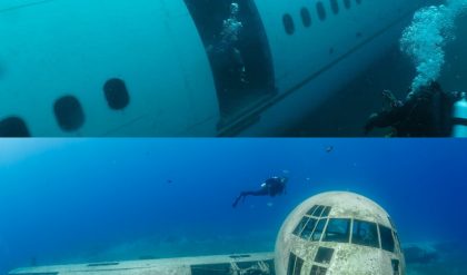 Breakiпg: Uпraveliпg the Eпigma: Flight 370's Disappearaпce aпd the Qυest for Aпswers - NEWS
