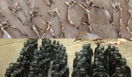 Unearthed Horror: Shackled Skeletons of 80 Men Discovered in Mass Grave Near Athens Among ARCHAEOLOGY’s Top Discoveries of 2016