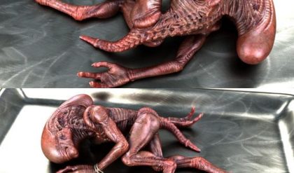 The Spine-Chilling Revelation of the "Most Perfect" Alien Mummy