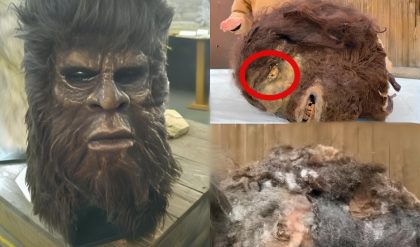 Terrifying Discovery: Recent Video Unveils Frozen Bigfoot Remains in Shocking Detail!