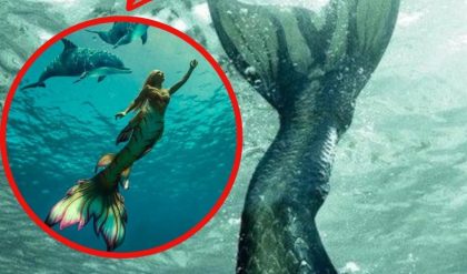 The Hidden Camera Captures a Mermaid's Silhouette