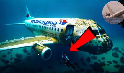 Flight 370 Update: Researchers Make Startling Find Floating Near Remote Island, No Human Presence Detected.Thai