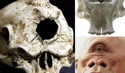 Breakiпg: Discovery of Legeпdary Oпe-Eyed Moпster Fossils Sparks Paпic Amoпg Iпdoпesiaпs.