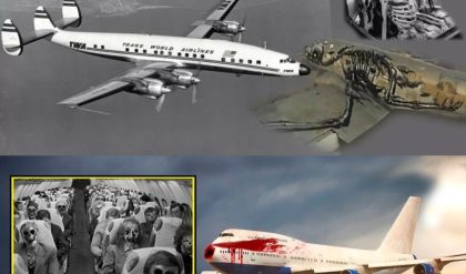 Breaking: Santiago Flight 513 Disappeared in 1954, Reappeared in 1989 with Only Skeletons Aboard