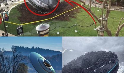 Hot News: Experts Discover Mysterious Alien Spaceship Crash Site, Raising Questions and Confusion